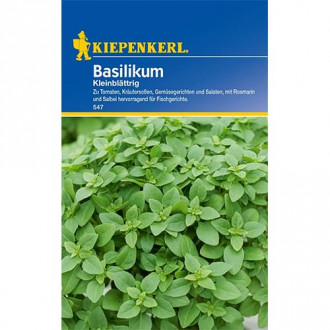 Босилек дребнолистен изображение 3