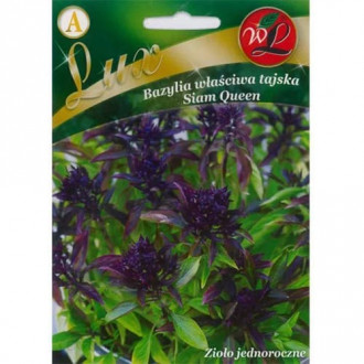 Босилек Thai Siam Queen изображение 5