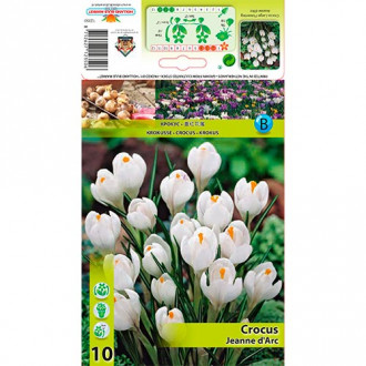 Brândușe Jeanne d'Arc imagine 4