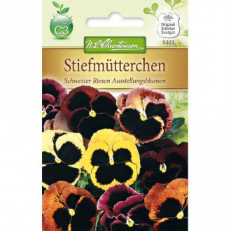 Bratek Ausstellungsblumen interface.image 2