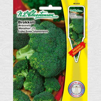 Broccoli Maraton F1 imagine 10