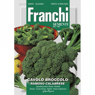 Broccoli Ramoso Calabrese imagine 12