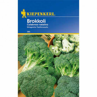 Broccoli Ramoso Calabrese imagine 11