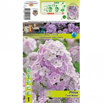 Brumărele Cool Water imagine 4