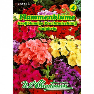 Brumărele gigant, mix multicolor imagine 1