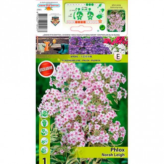 Brumărele Nora Leigh imagine 17