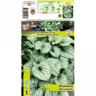 Brunnera wielkolistna interface.image 1