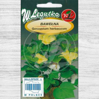 Bumbac indian alb imagine 1