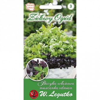 Busuioc Patio, amestec de soiuri imagine 12