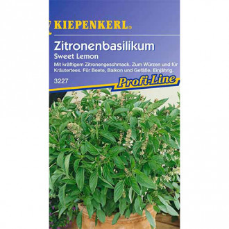 Busuioc lămâios Sweet Lemon Kiepenkerl imagine 8