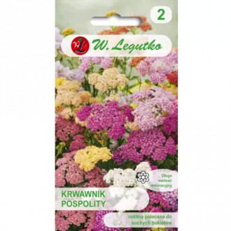 Бял равнец (Achillea) Legutko изображение 2