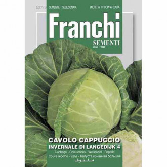 Бяло зеле Invernale di Langedijk 4 изображение 5