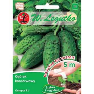 Castraveţi Octopus F1 Legutko imagine 15