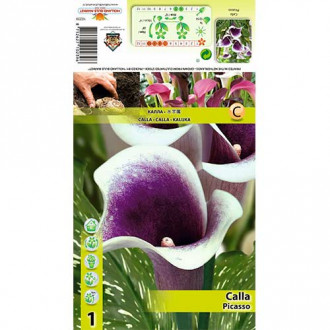 Cală Picasso imagine 1