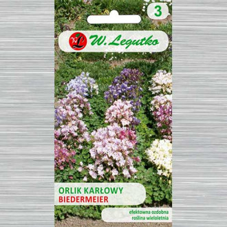 Căldărușe Biedermeier, mix multicolor Legutko imagine 4