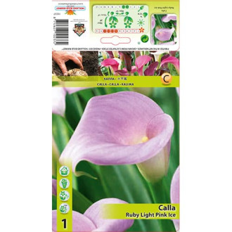 Calla Ruby Light Pink Ice interface.image 10