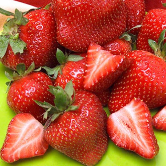 Căpşuni Elianny imagine 16