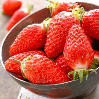 Căpșuni Gariguette imagine 7