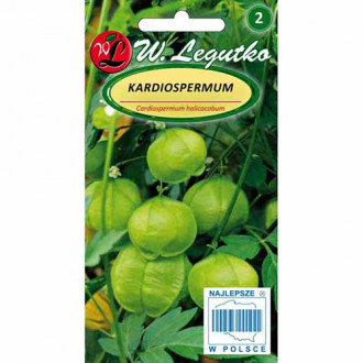 Viță cu baloane imagine 1