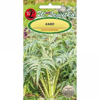 Anghinare ornamentală imagine 1