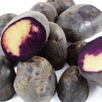 Cartofi de sămânță Double Fun imagine 10