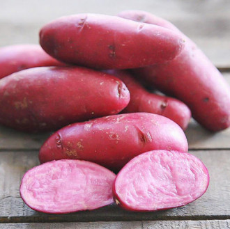 Cartofi de sămânță Mulberry Beauty imagine 8