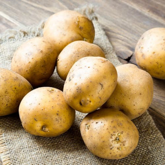 Cartofi de sămânță Primabelle