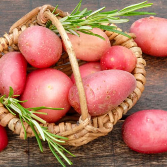 Cartofi de sămânță Ricarda imagine 16