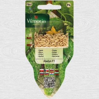 Castraveti Aladin F1 (Vilmorin) imagine 12