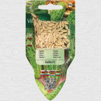 Castraveti Dalila F1 imagine 17