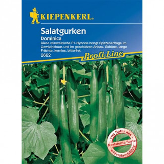 Castraveți de salată Dominica imagine 6