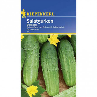 Castraveți Delikatess Kiepenkerl imagine 14