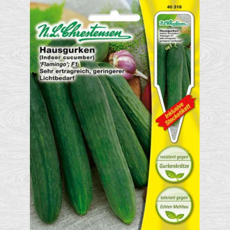 Castraveți Flamingo F1 imagine 7