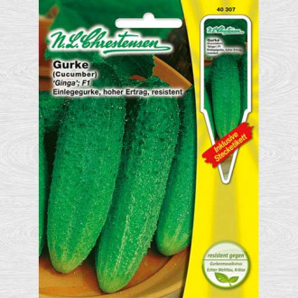 Castraveți Ginga F1 imagine 5