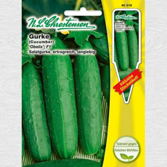 Castraveți Obelix F1 imagine 12