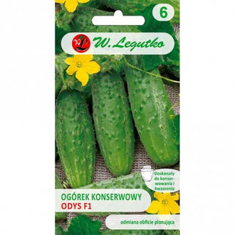 Castraveți Odys F1 imagine 9