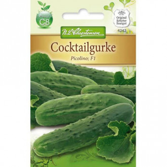 Castraveți Picolino F1 imagine 6