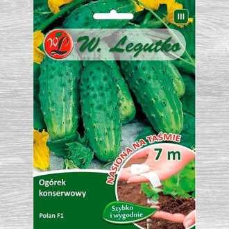 Castraveți Polan F1 imagine 15