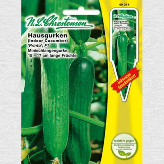 Castraveți Printo F1 imagine 3