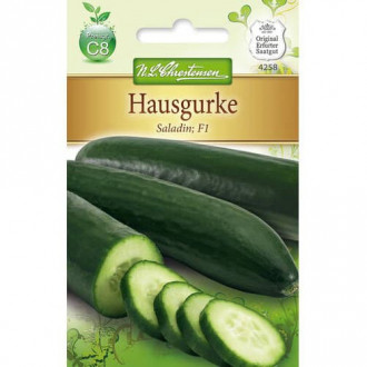 Castraveți Saladin F1 imagine 8