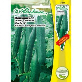 Castraveți Saladin F1 imagine 11