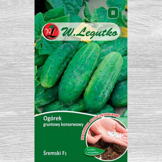 Castraveți Sremski F1 imagine 12