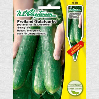 Castraveți Swing F1 imagine 13