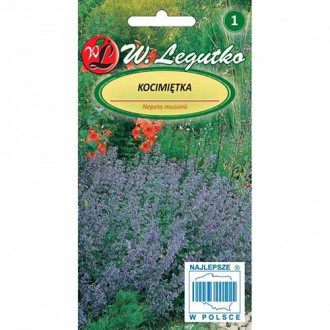 Menta pisicii albastră imagine 1