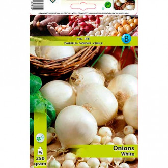 Ceapă albă imagine 8