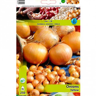 Ceapă galbenă imagine 3