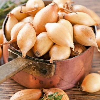 Ceapă Primalys imagine 18