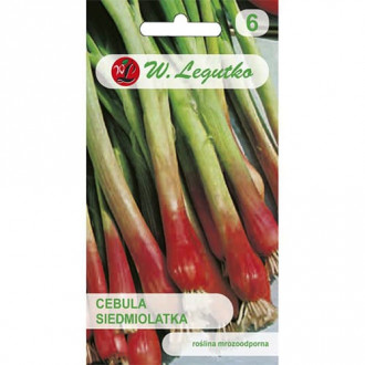 Ceapă verde Red Toga imagine 9