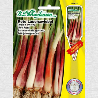 Ceapă roșie Red Toga imagine 17