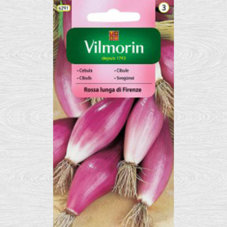 Ceapa rosie Rossa lunga di Firenze imagine 3